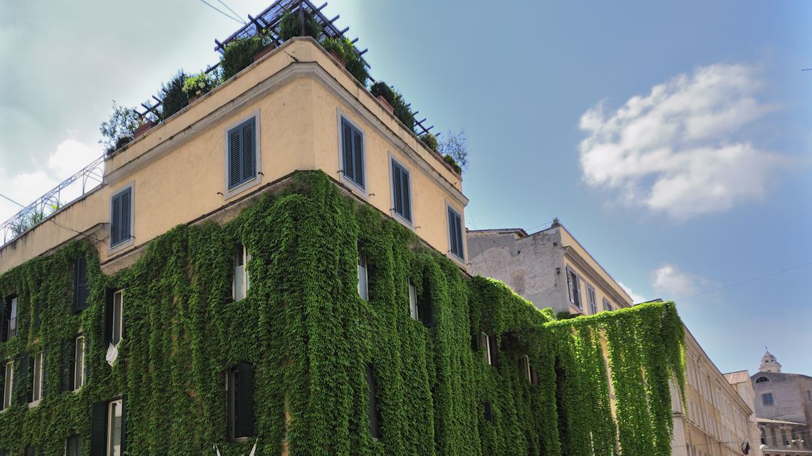 Un palazzo d’angolo di via Panisperna coperto d’edera